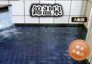 0.main.nisikionsen