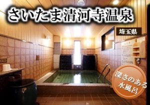 0.main.seiganji