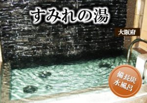 0.main.sumirenoyu